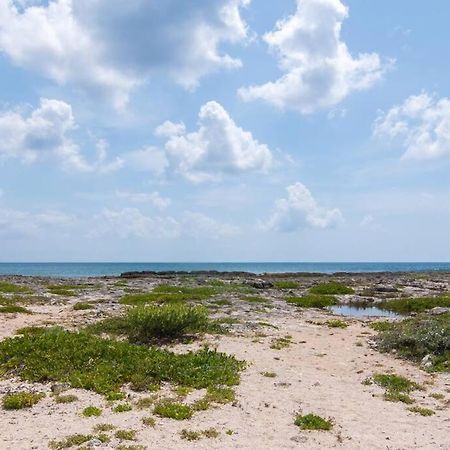 Ground Level Garden Condo At Akumal South By Tao Santamar Екстериор снимка