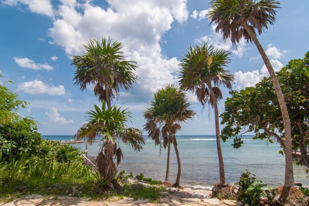 Ground Level Garden Condo At Akumal South By Tao Santamar Екстериор снимка